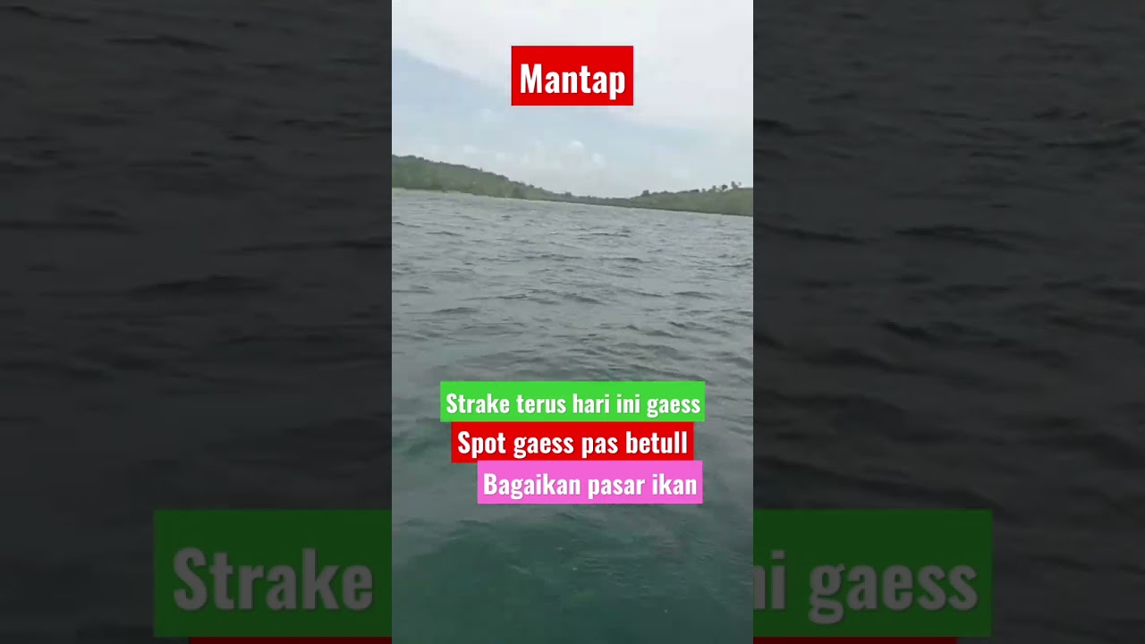 matapp. strake terus hari ini gaess. #mancing #ikan #laut #joran #kapal #SHORTS