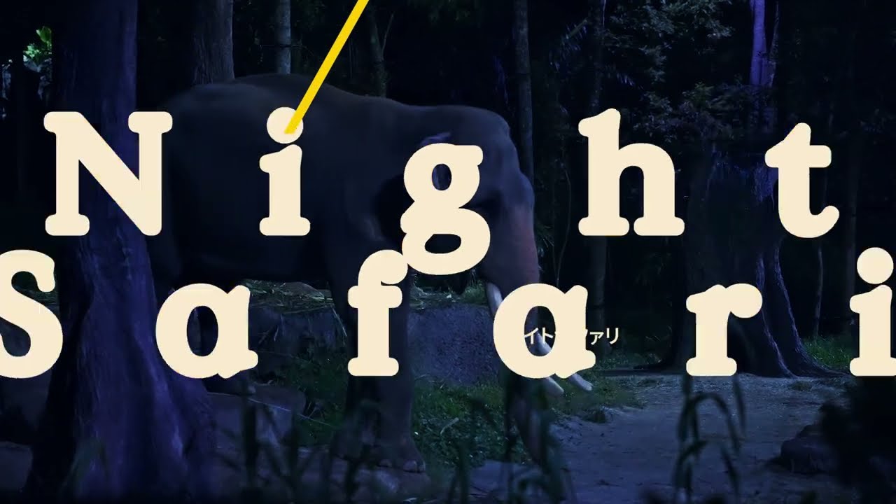 Night Safari Singapore 🌙 Explore nocturnal wildlife & tram rides
