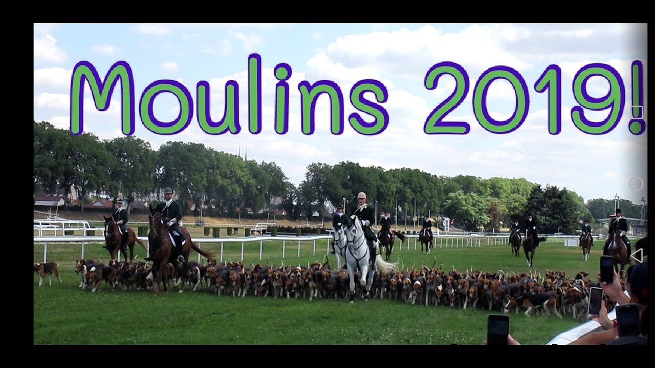 Fête de la chasse à Moulins avec le Vautrait de Banassat !