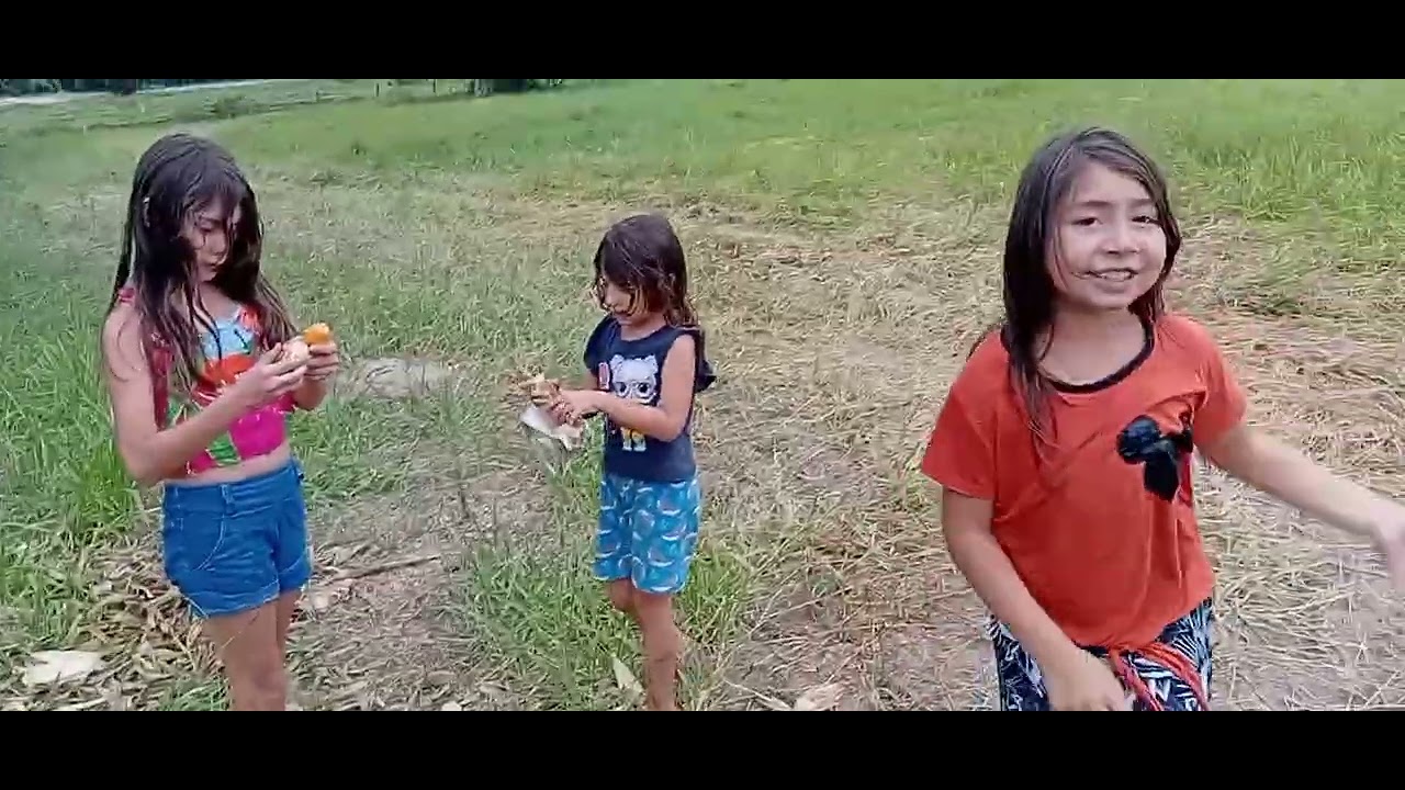 Mais um dia pegando milho pras galinhas 🤣🤣🤣😅😅😅