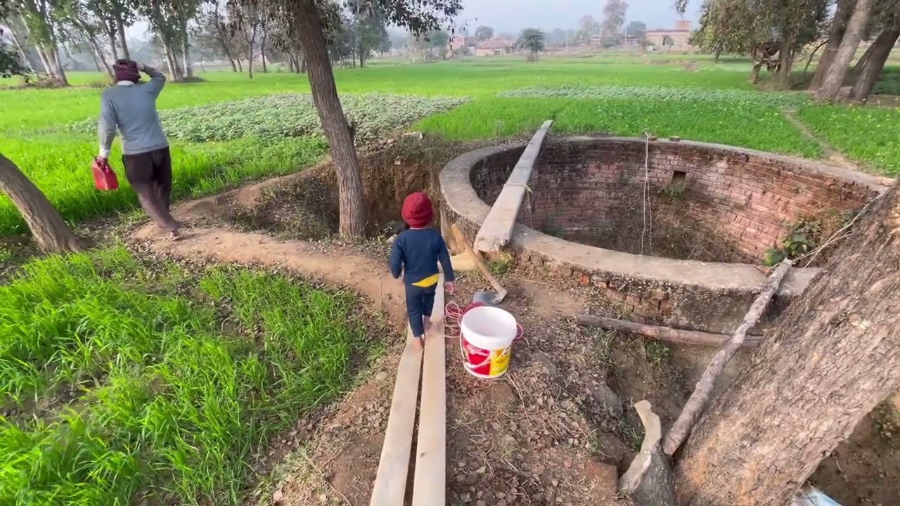 Diesel engine For Farming wheat 👍 Village vlog channel