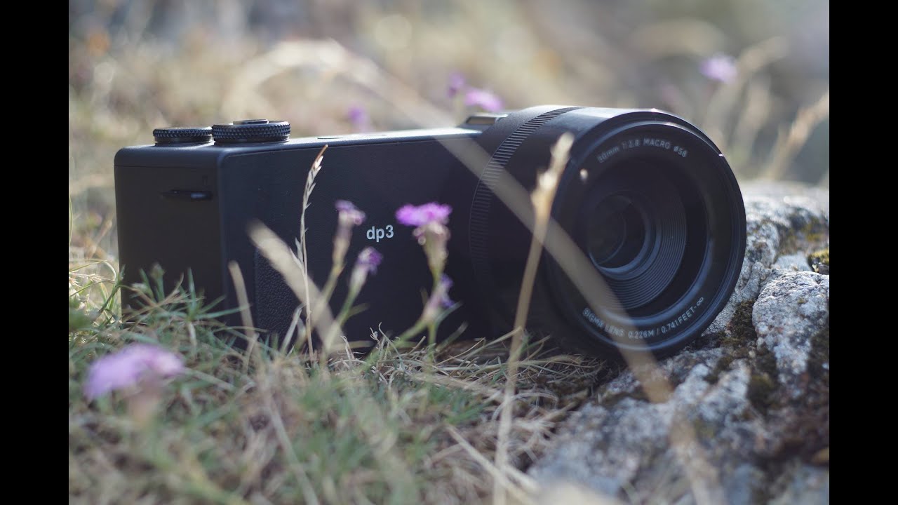 Sigma dp 3 quattro - hands on review, pics zoomed in