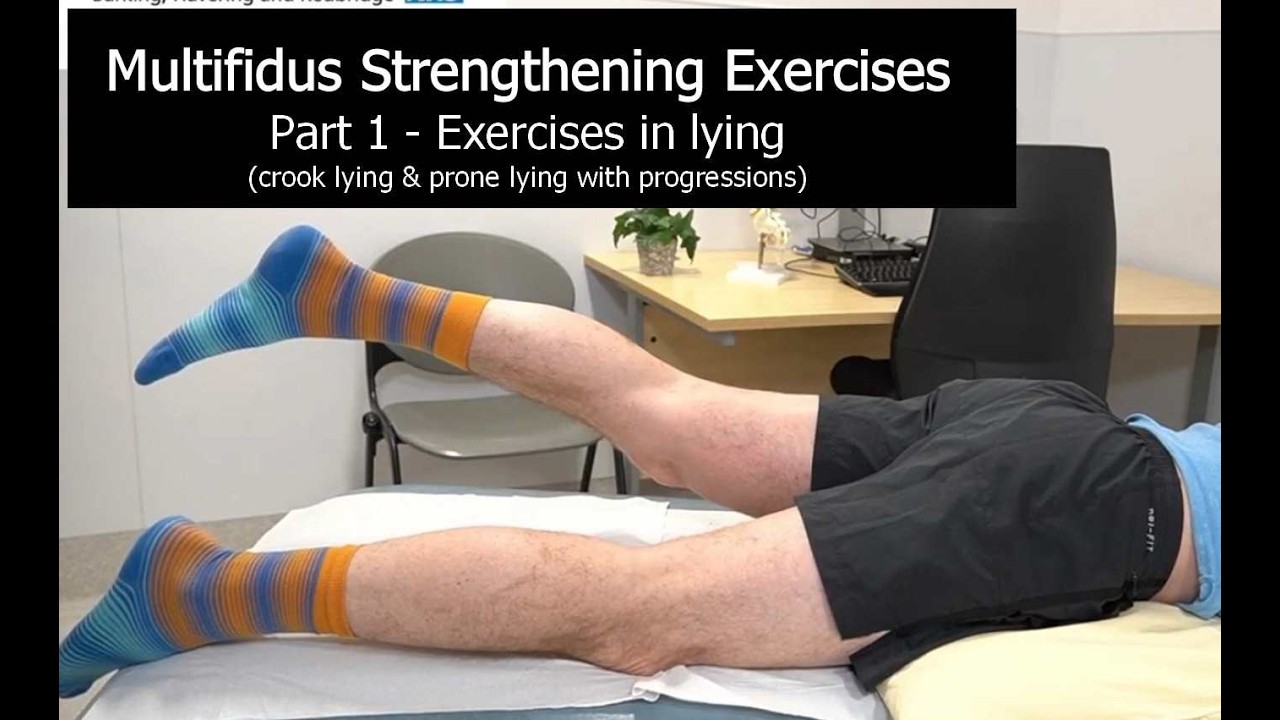 Multifidus Strengthening Exercises - Part 1 exercises in lying
