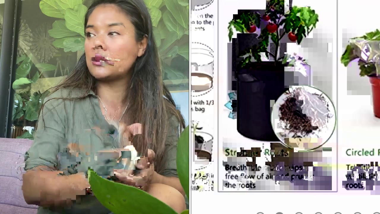 Bien choisir ses pots pour ses plantes
