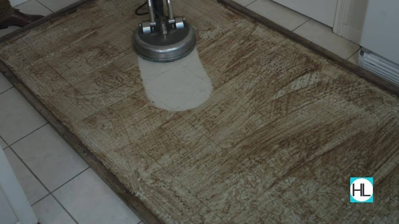 Dirt Free Carpet