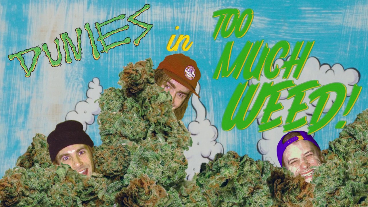 Dunies TV 
