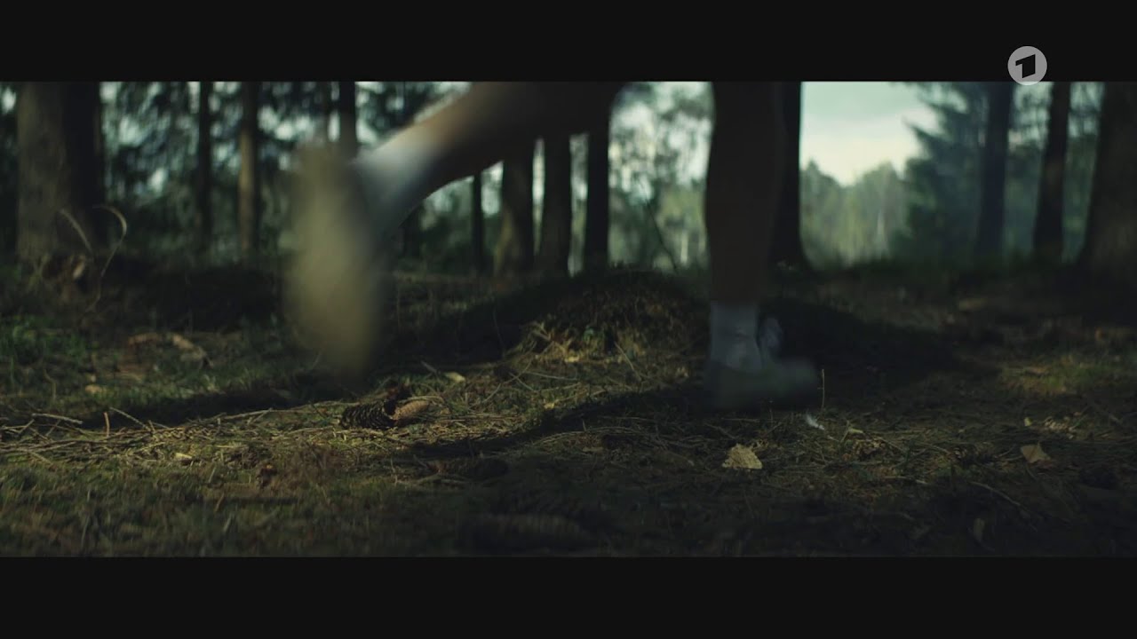 Das Geheimnis des Totenwaldes 2/6 Die dunkle Kraft - Krimi Miniserie / Brandt Schuch Ofczarek Schily