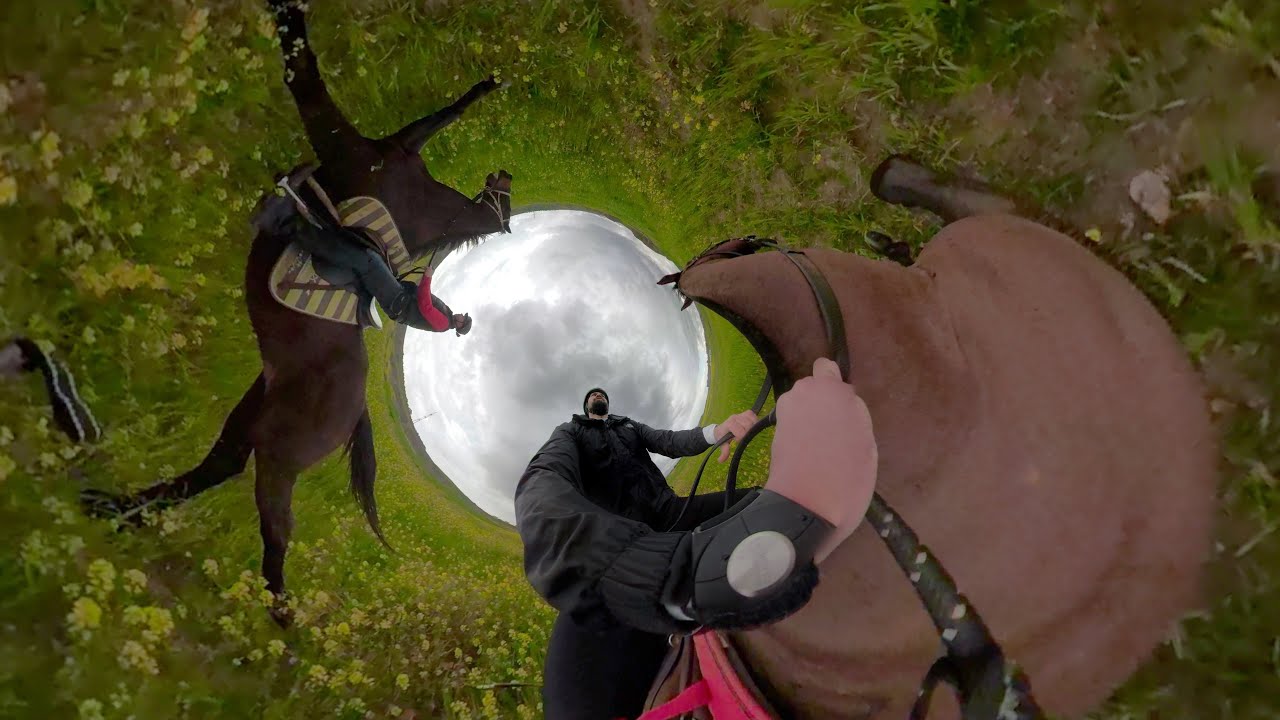 360 Horseback riding in the countryside - A gallop in a blooming valley - GoPro Fusion