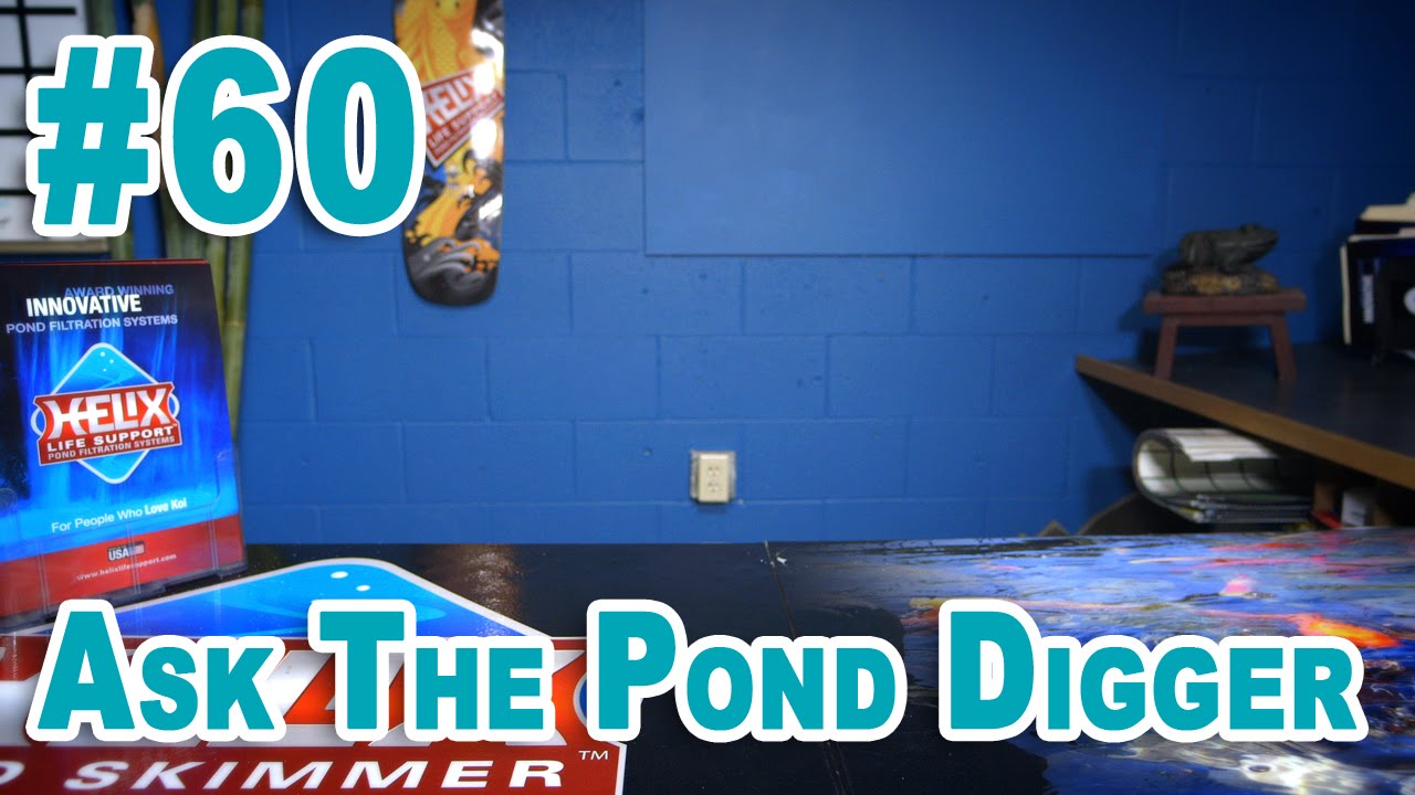 How Many Gallons of Water Are In Your Pond? - Ask #60