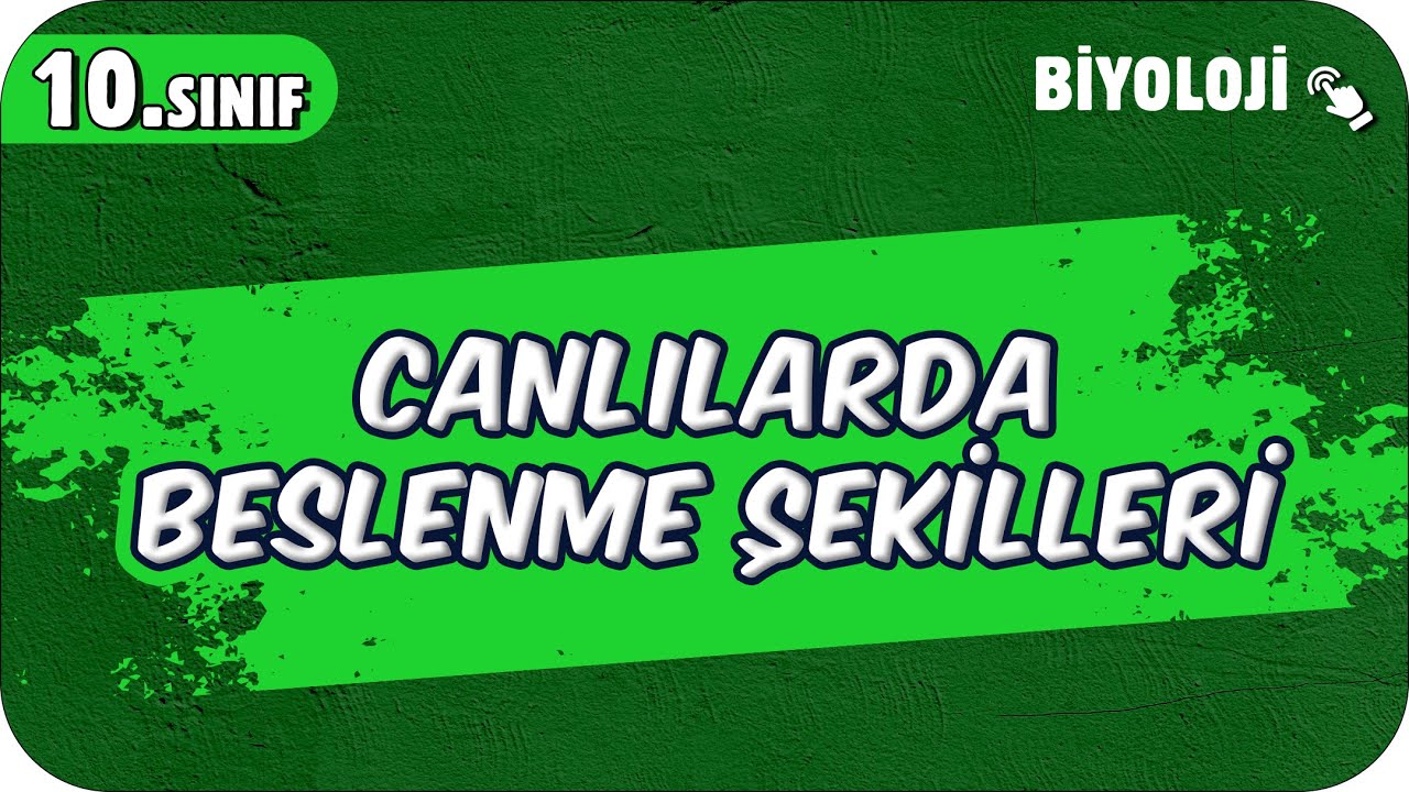 Canlılarda Beslenme Şekilleri | 10.Sınıf Biyoloji #2025