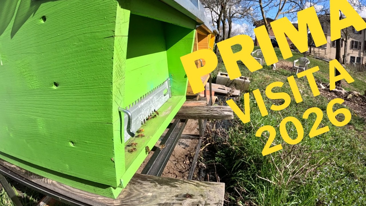 Apicoltura 2026: Prima Visita in Apiario