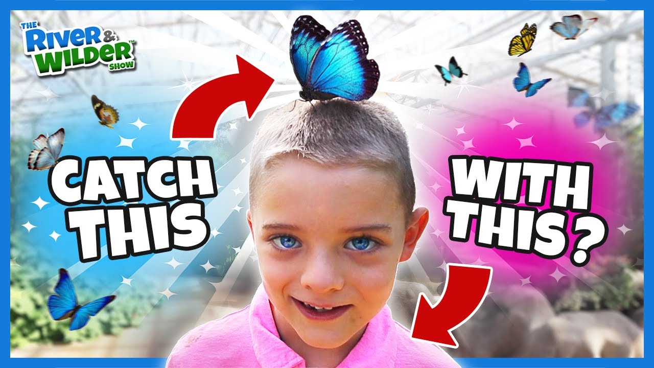 KIDS BUTTERFLY CHALLENGE ...and we eat bugs?