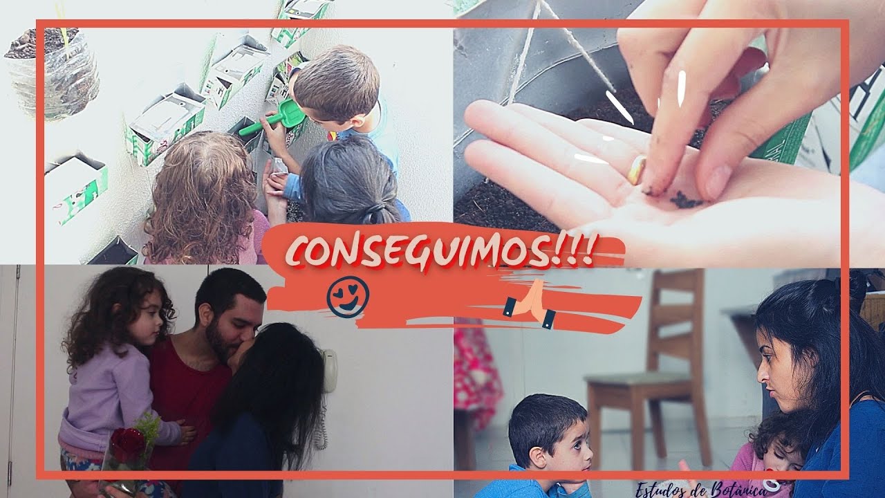 COMO FIZEMOS UMA HORTA DE APARTAMENTO + Rotina de Estudos.