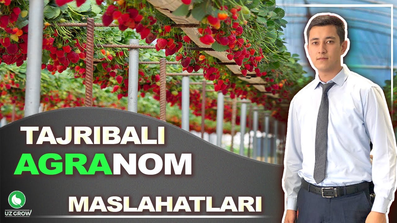 QULUPNAY BO'YICHA KO'P YILLIK TAJRIBAGA EGA AGRANOM BILAN INTERVYU