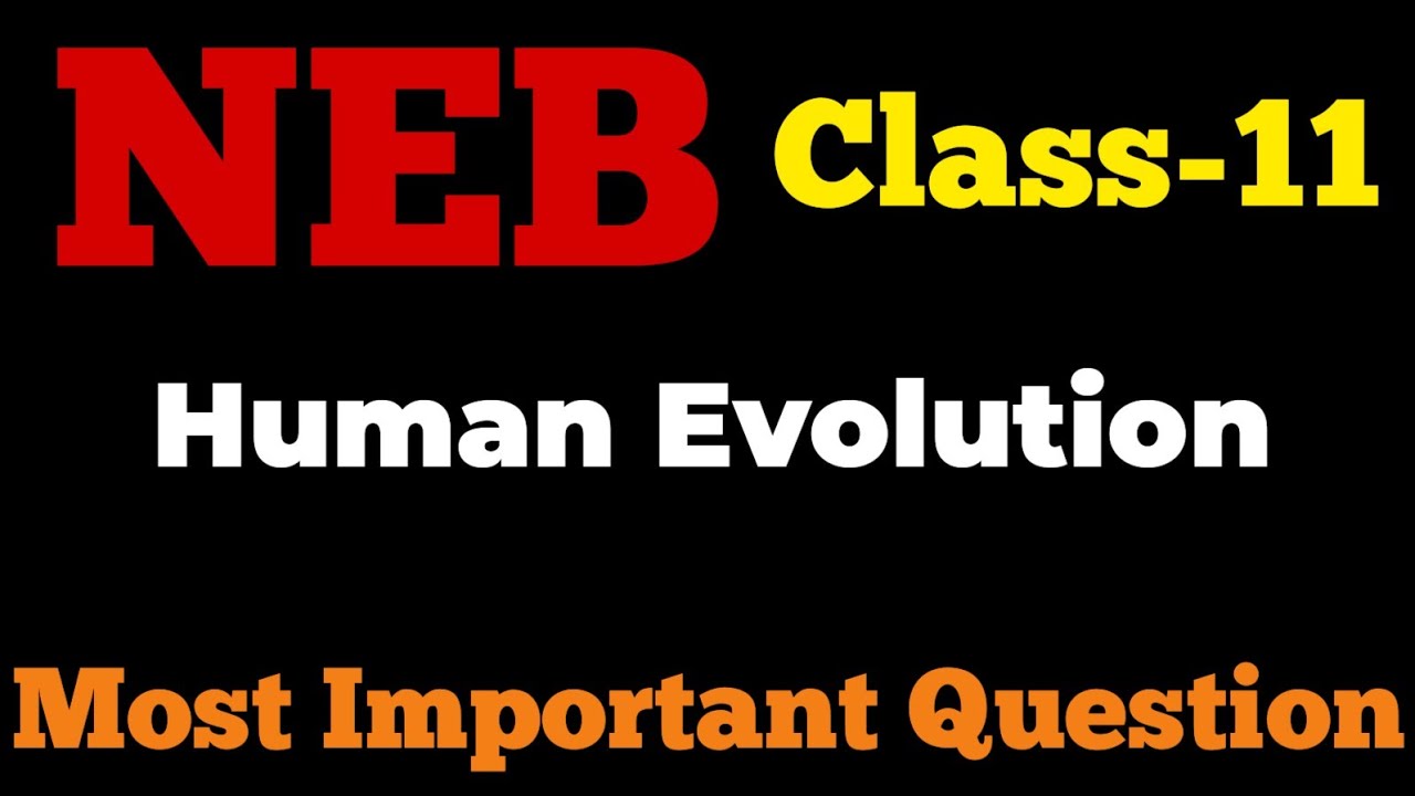 Class-11 NEB | Most important Question of Human Evolution | for NEB Class-11