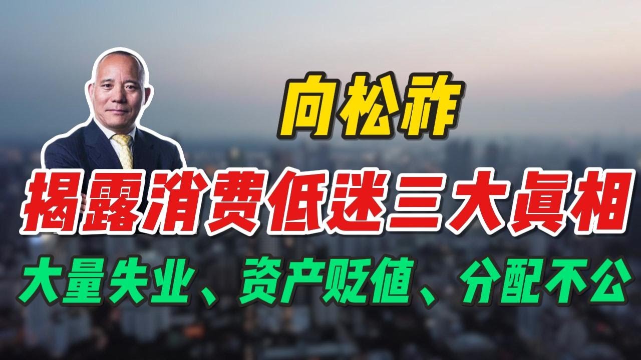 向松祚揭露消费低迷的三大真相，大量失业、资产贬值、分配不公。