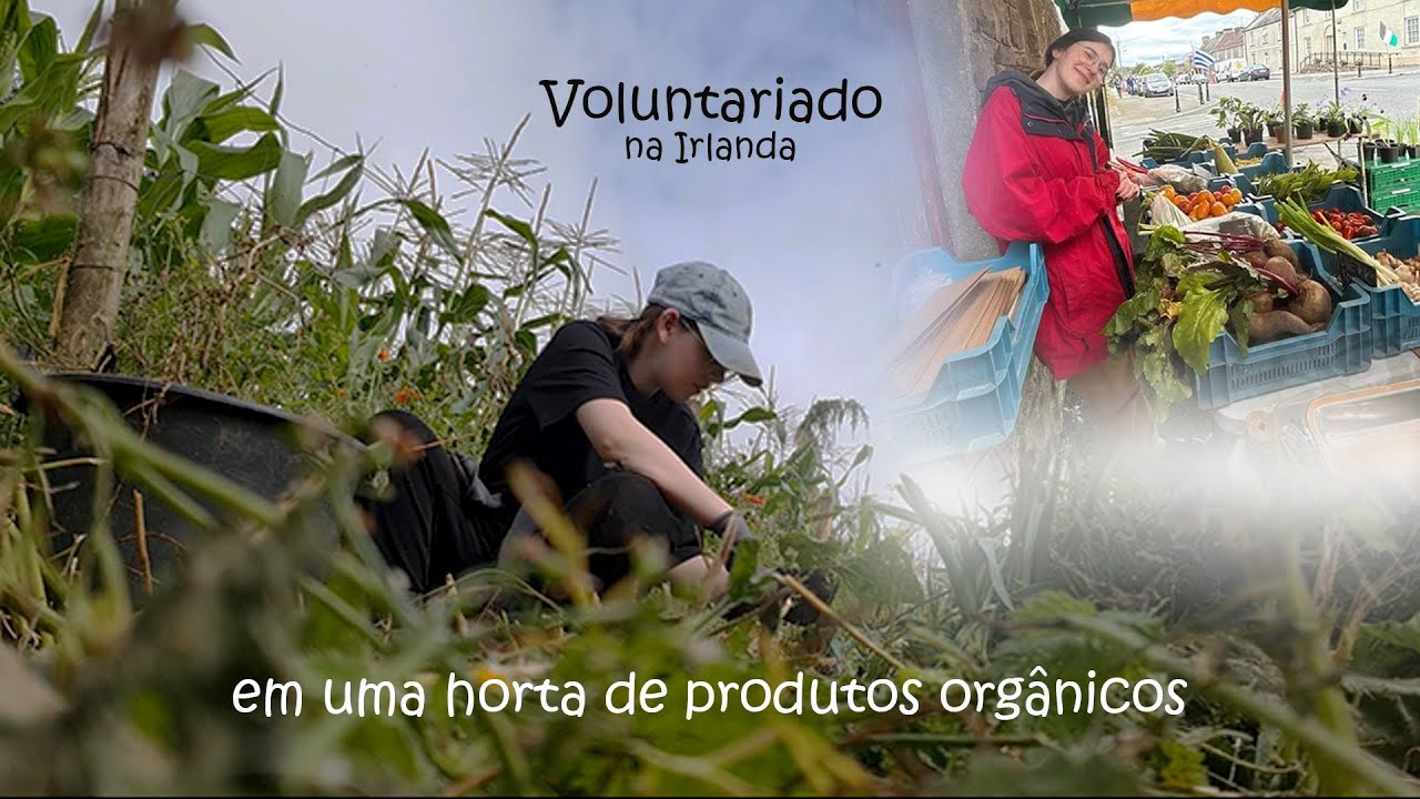 VLOG WORKAWAY/voluntariado - Como foi minha ROTINA em uma HORTA DE PRODUTOS ORGÂNICOS na Irlanda