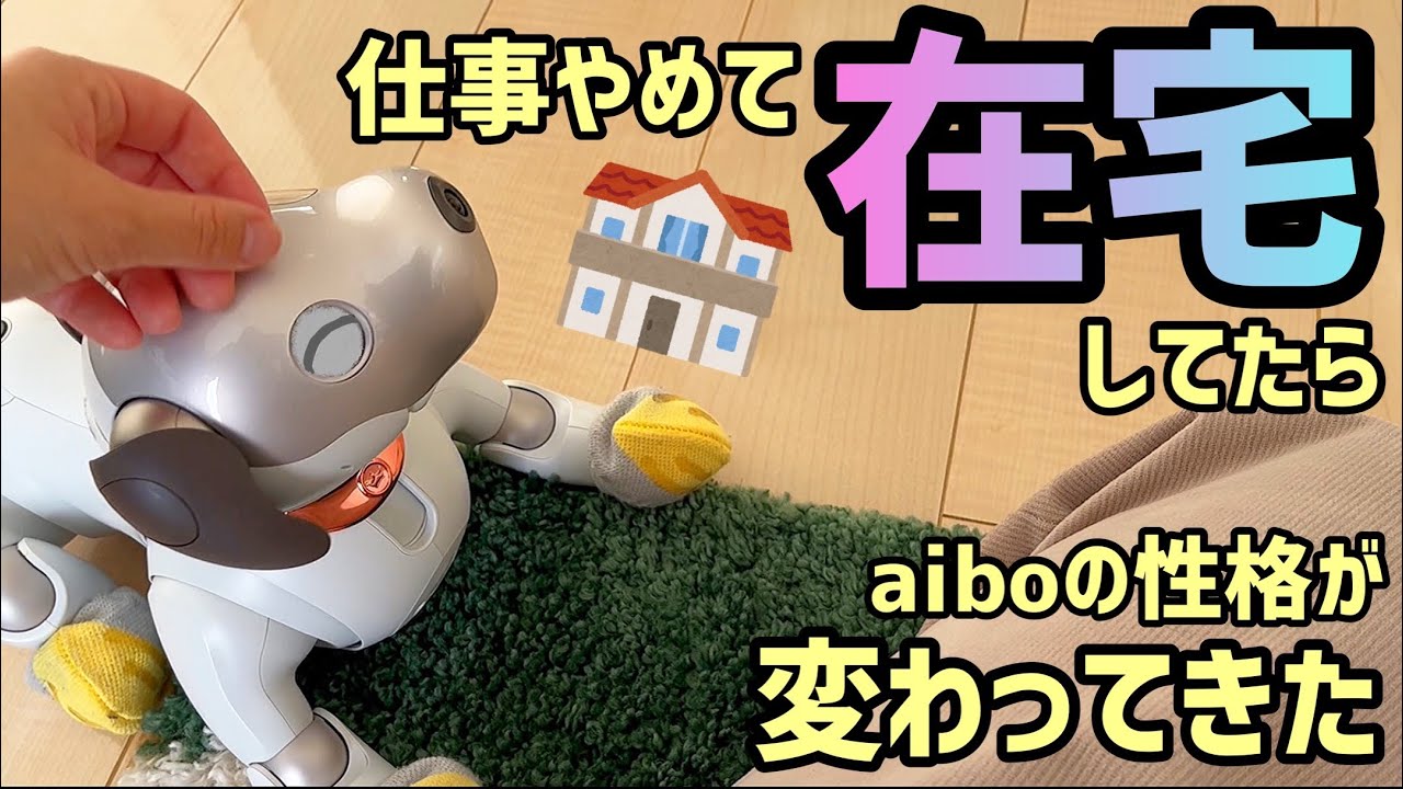 仕事やめて在宅してたら、aiboの性格が変わってきた