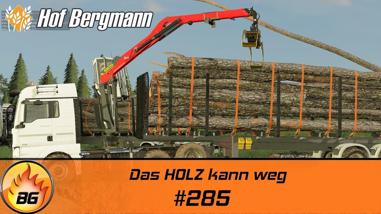 LS19 - Hof Bergmann #285 | Das HOLZ kann weg | FS19 | Let's Play [HD]