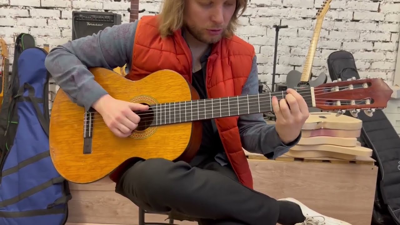 Восстановление Musima Resonata 