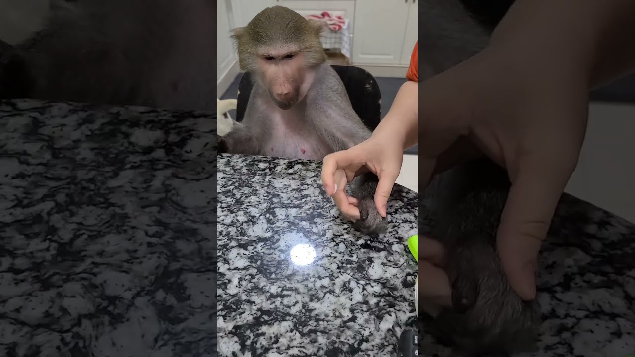 Лечение от укуса муравья ! Очень терпеливая Никуша 🤣