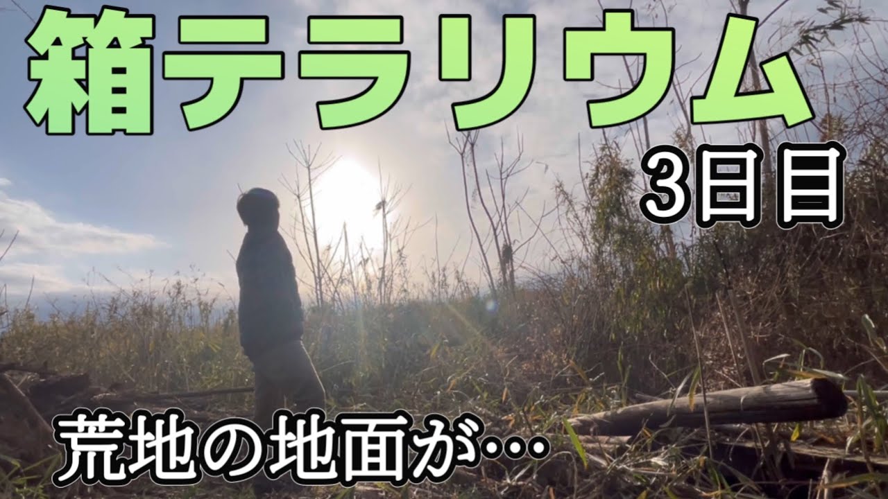 【週末農家】荒地の地面が！そろそろ畑作業ができるかも！(箱庭テラリウム3日目)