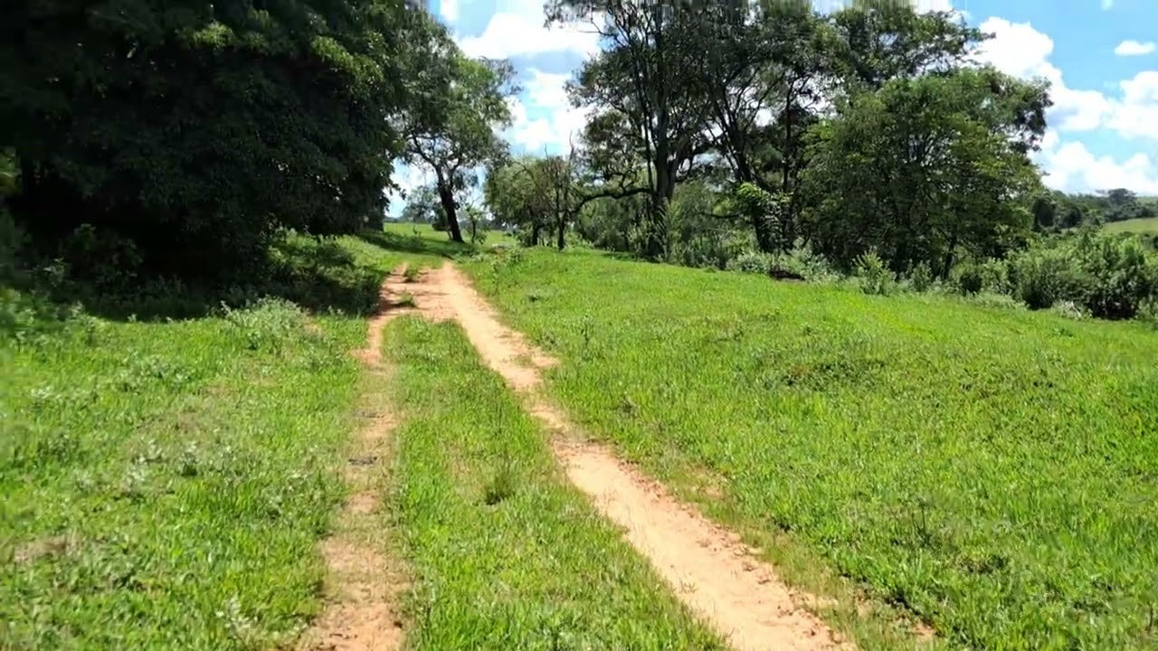 Voltando pra Casa 12 de março de 2026