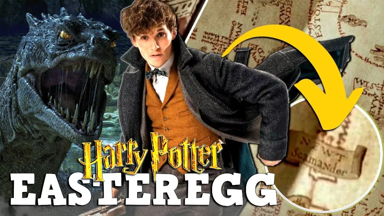 WARUM war NEWT SCAMANDER in HARRY POTTER TEIL 3 in HOGWARTS?! 😱