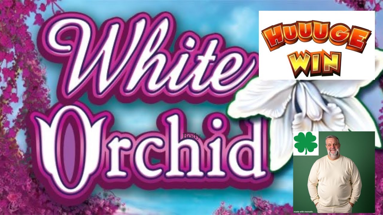 Over 100x Win with 70 Free Spins on White Orchid!!!