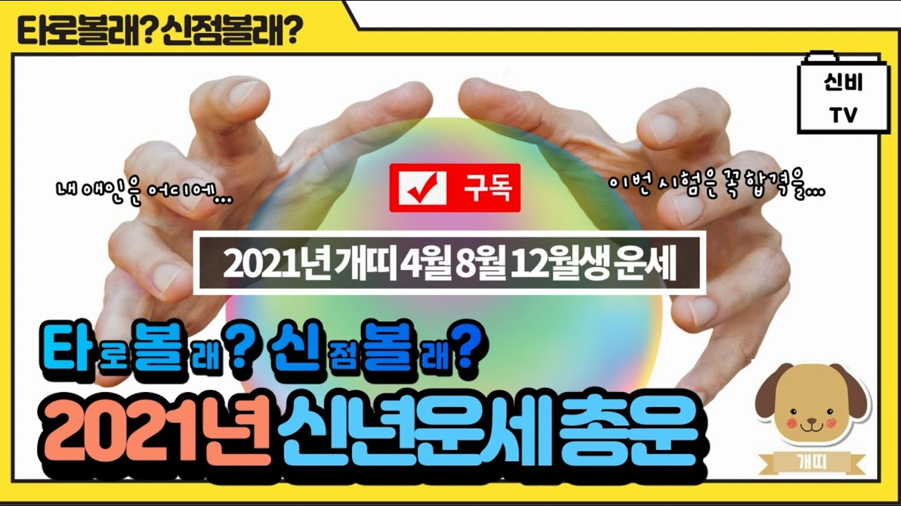 2021년 모든  개띠 음력 4월 8월 11월생 1년 운의 흐름~~~
