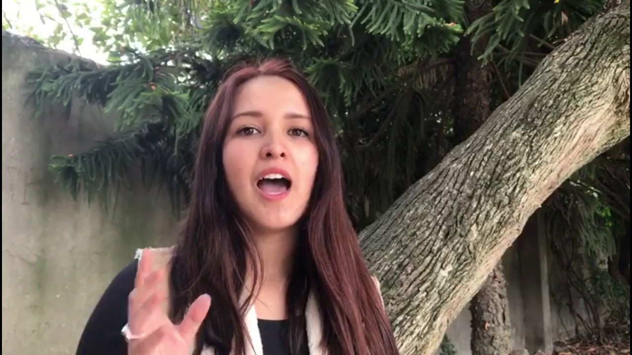Constituciones escritas y consuetudinarias
