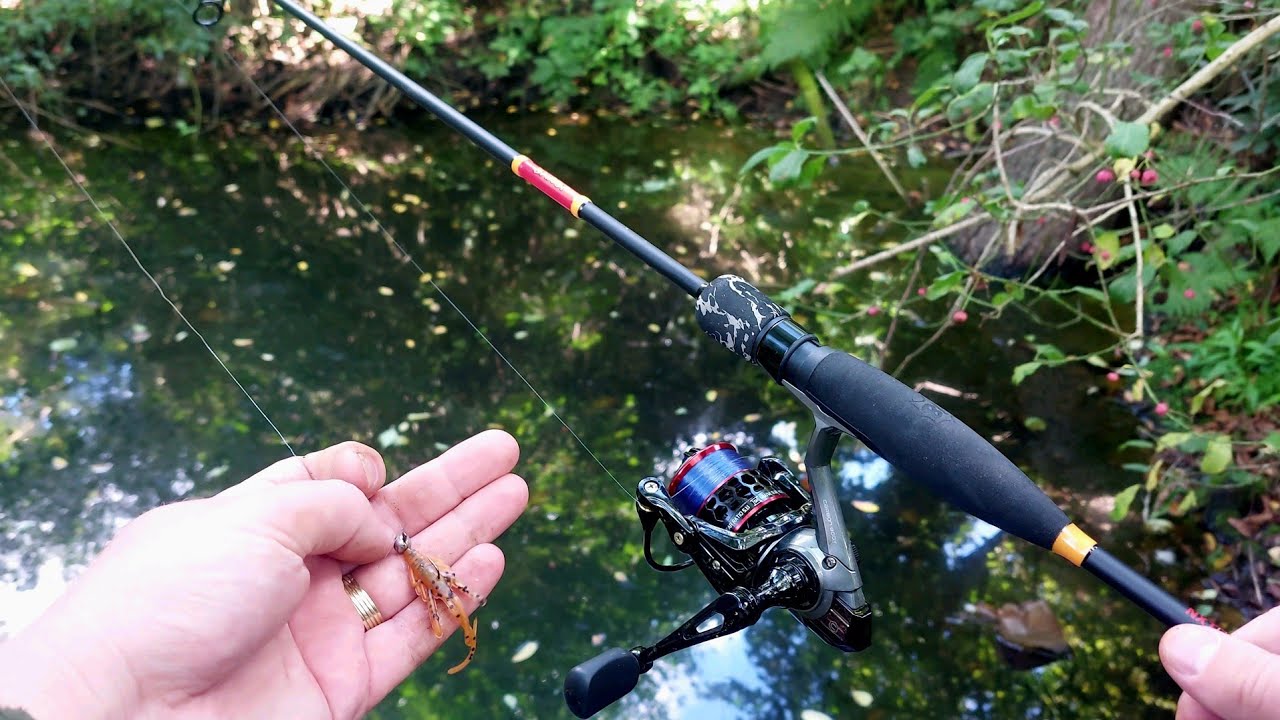 Pescuit pe GÂRLA COPILĂRIEI - Sălbăticie Pură după Clean 🎣 Prezentare Echipament #fishing 🐟 