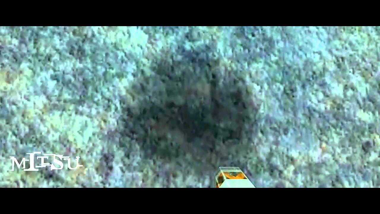 Shaolin Productions - Freeform