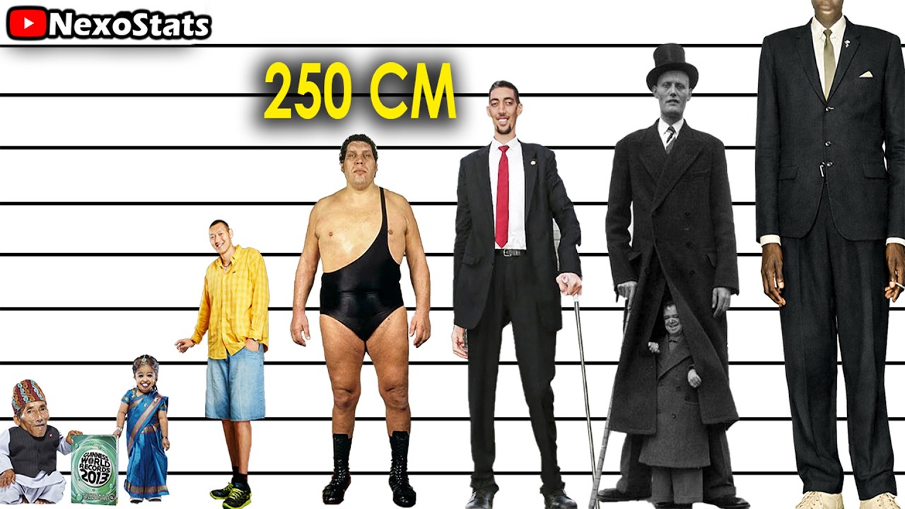 Tallest People in the World Height Comparison