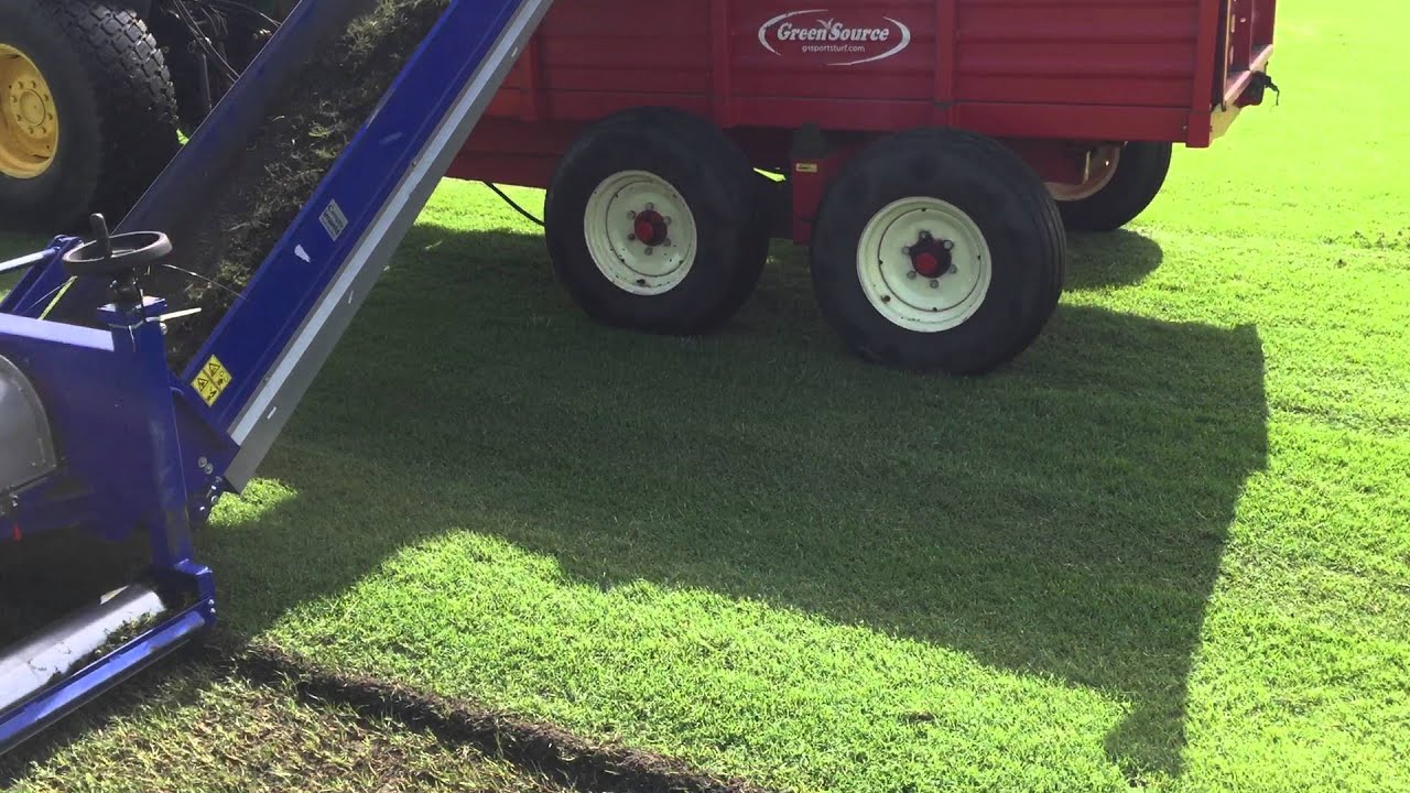 Fraze Mowing Seashore Paspalum - GreenSourceLandscape & Sports Turf