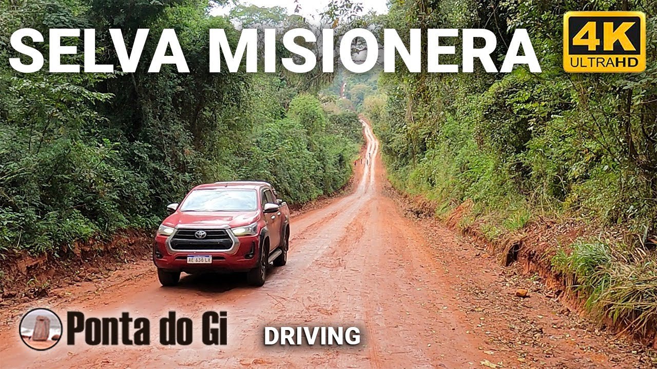 LA RUTA DE LA SELVA en 4K RN 101 #driving [tiempo real] 83 minutos *IMPERDIBLE* MISIONES - ARGENTINA