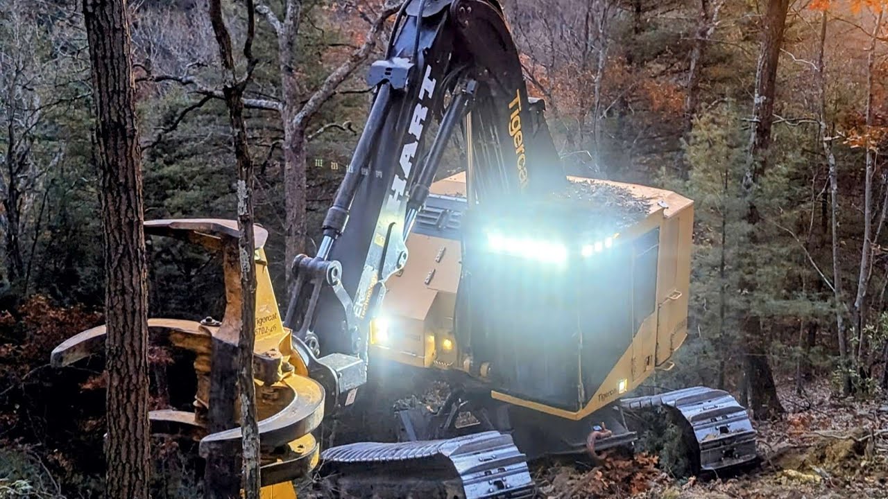 Twin Tigercat LX830E's.  Another year in contracting for Metzler Forest Products
