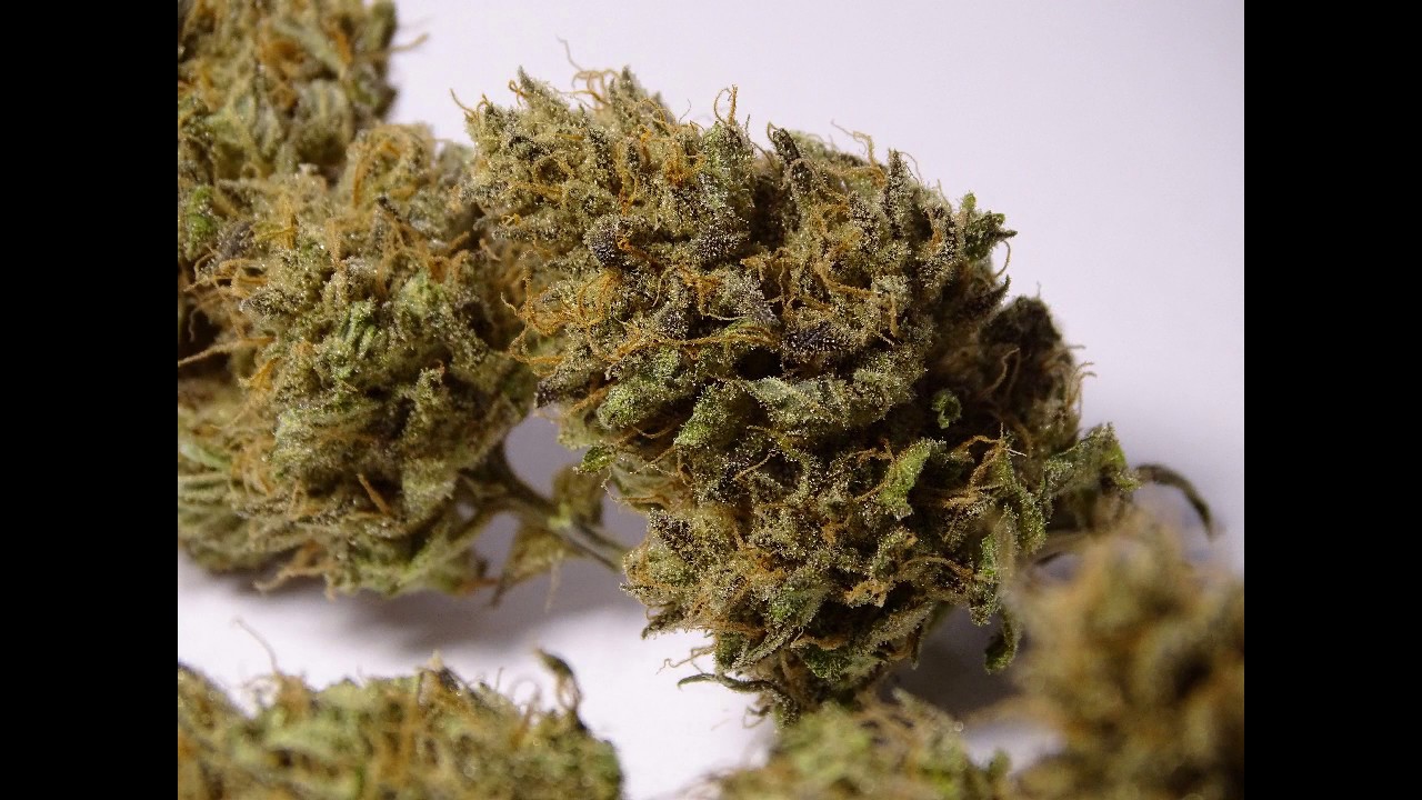 Veganic blue cheese