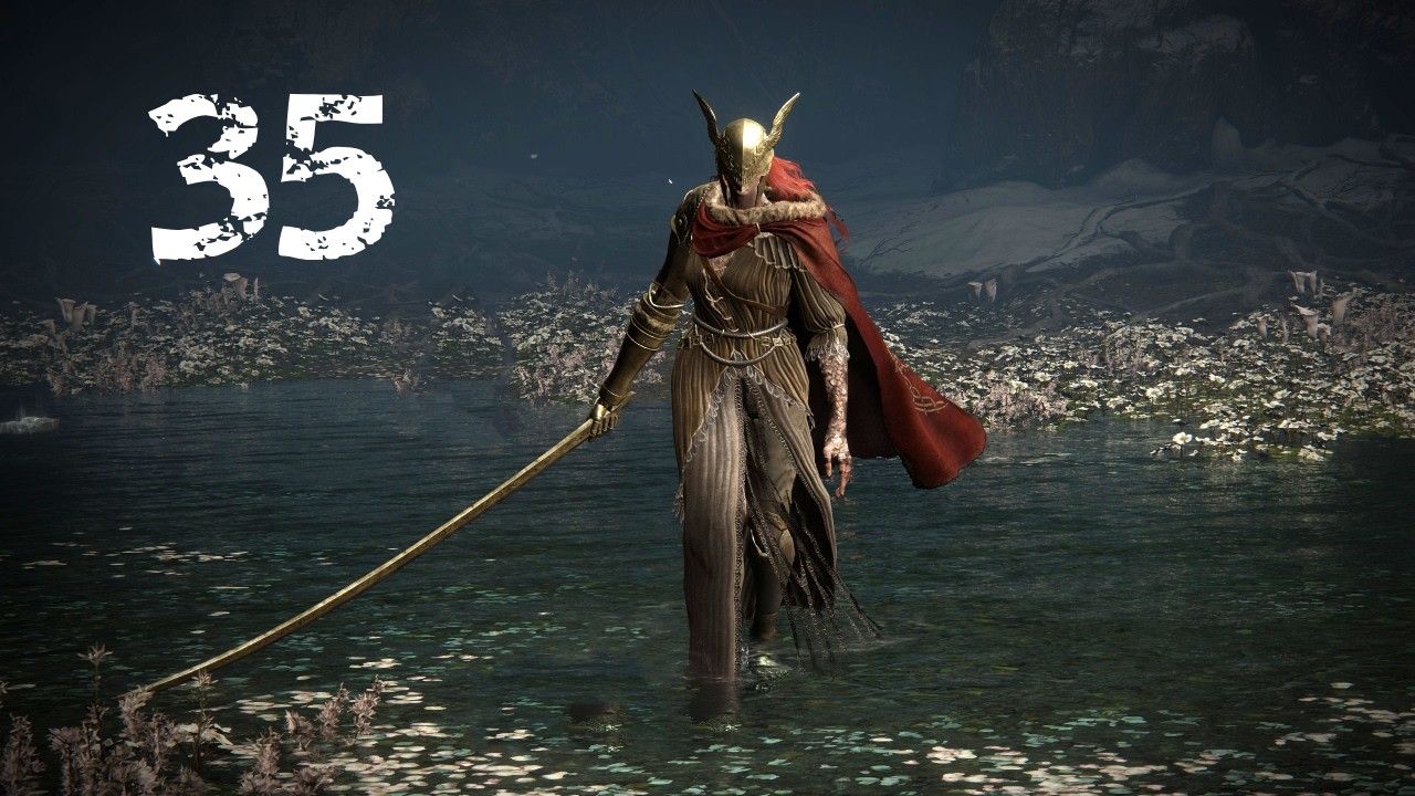 Beating Malenia NG+7 every day until I get a gf | Day 35