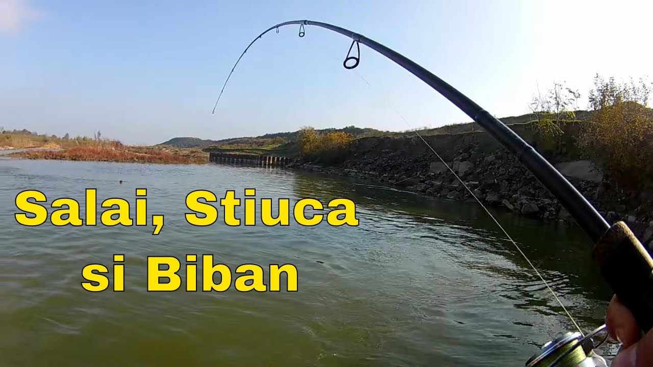 Salai cat cuprinde, Stiuca si Biban pe Arges (toamna tarziu)