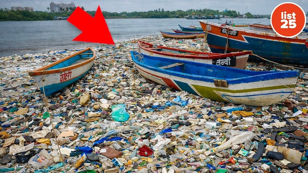 25 Pointless Facts That Are Weirdly Fascinating