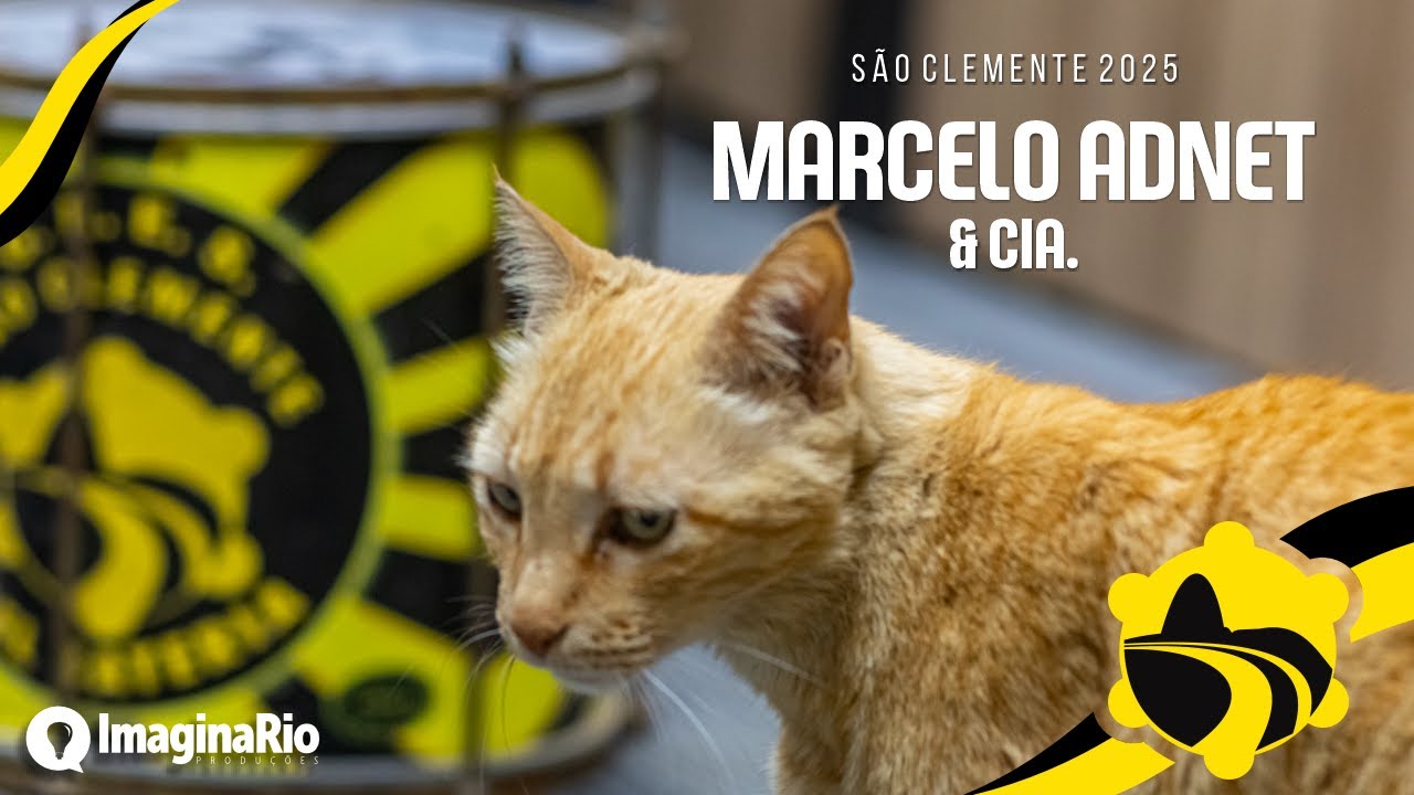 São Clemente 2025 (Samba Concorrente) Marcelo Adnet & Cia