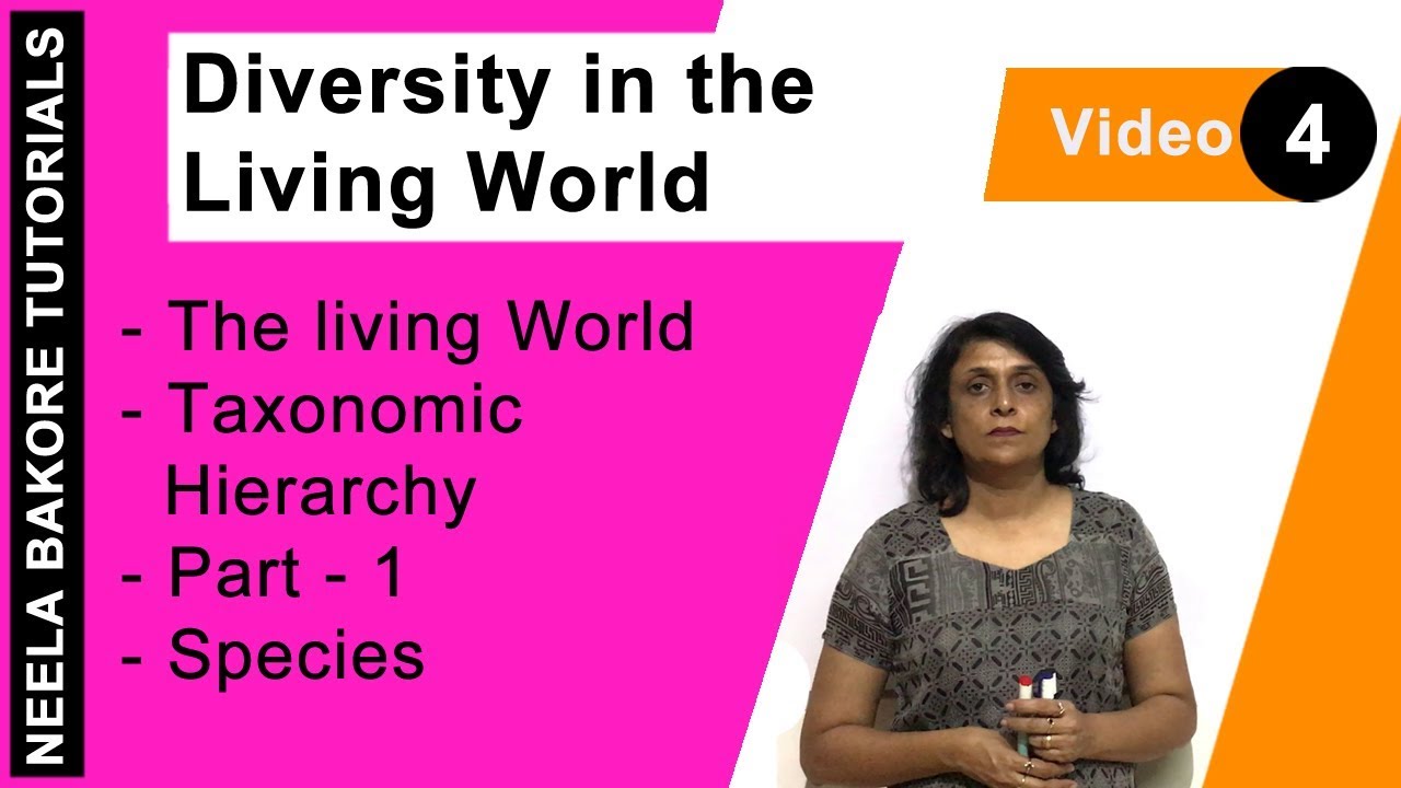 The Living World | NEET | Taxonomic Hierarchy - Part - 1 - Species | Neela Bakore Tutorials