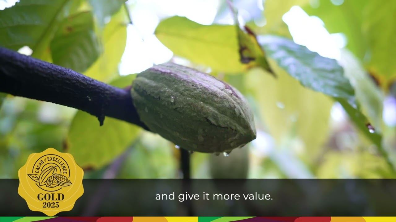 Dominican Republic - Finca Cacao Las Mujeres