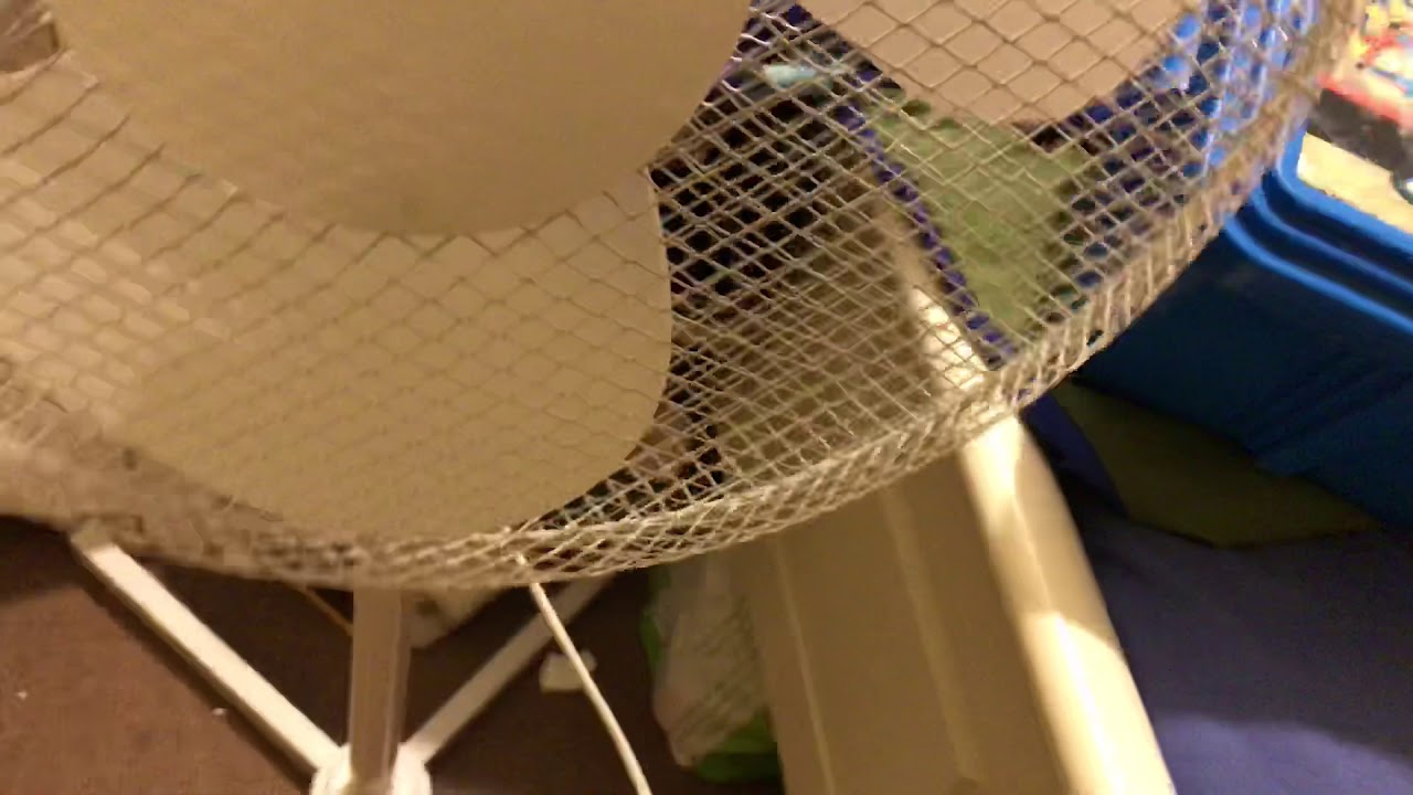 16 inch stand fan collection in my room