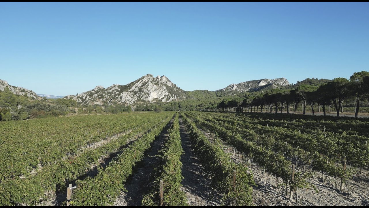 Domaine de la Vallongue, Alpilles, France (2023) / DJI Mini 3 Pro
