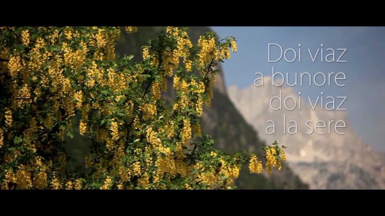 Doi viaz a bunore doi viaz a la sere - Trailer