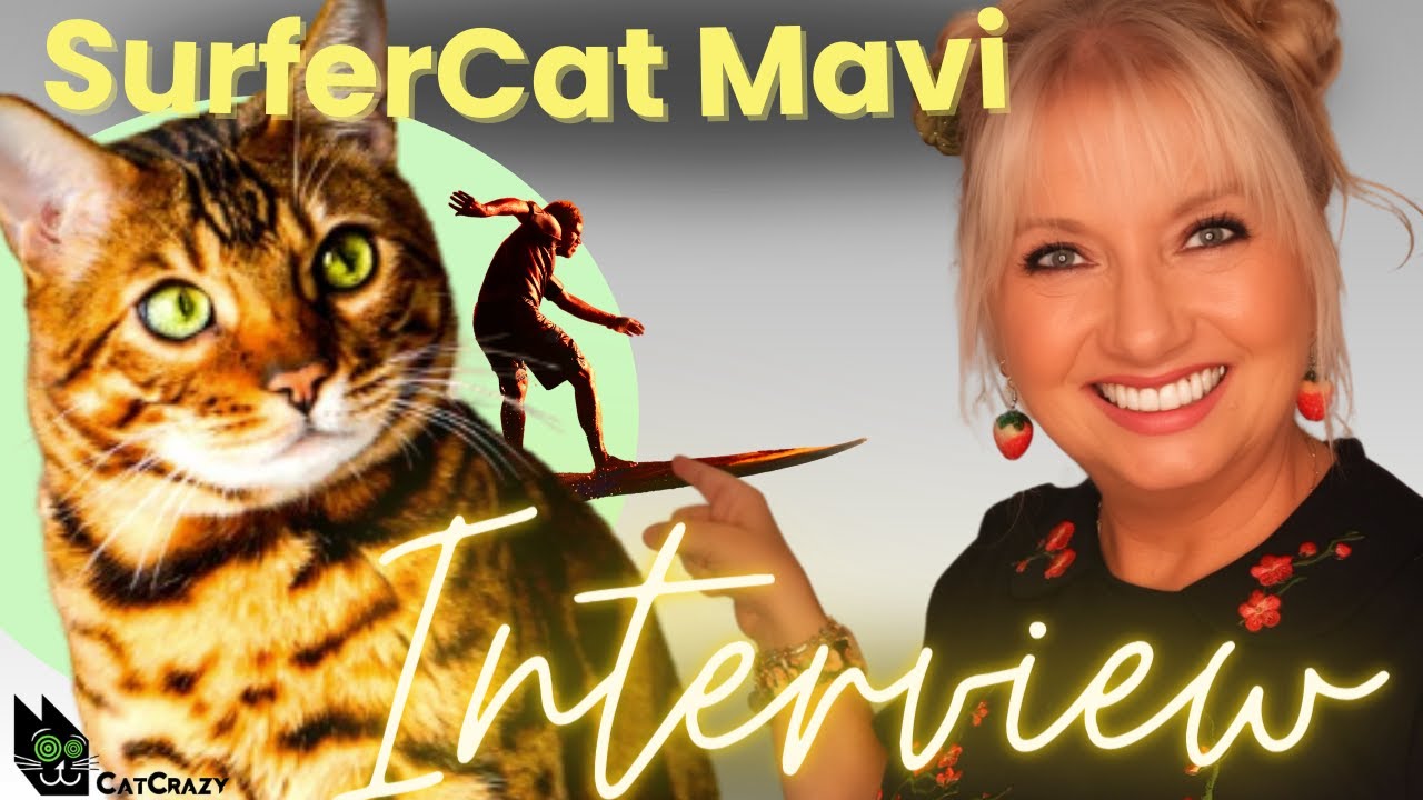 CatCon Gems 2023: SurferCat Mavi And Their Cat Harnesses