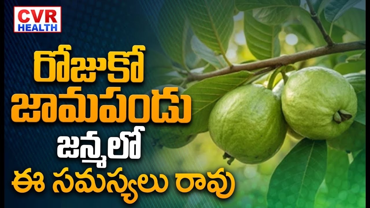 రోజుకో జామపండు  జన్మలో ఈ సమస్యలు రావు | Health Benefits Of Guava | CVR Health