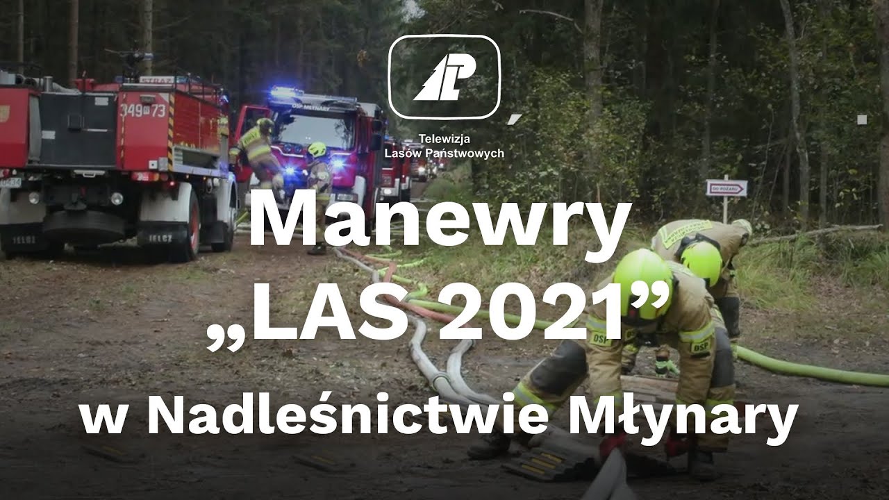 Manewry 